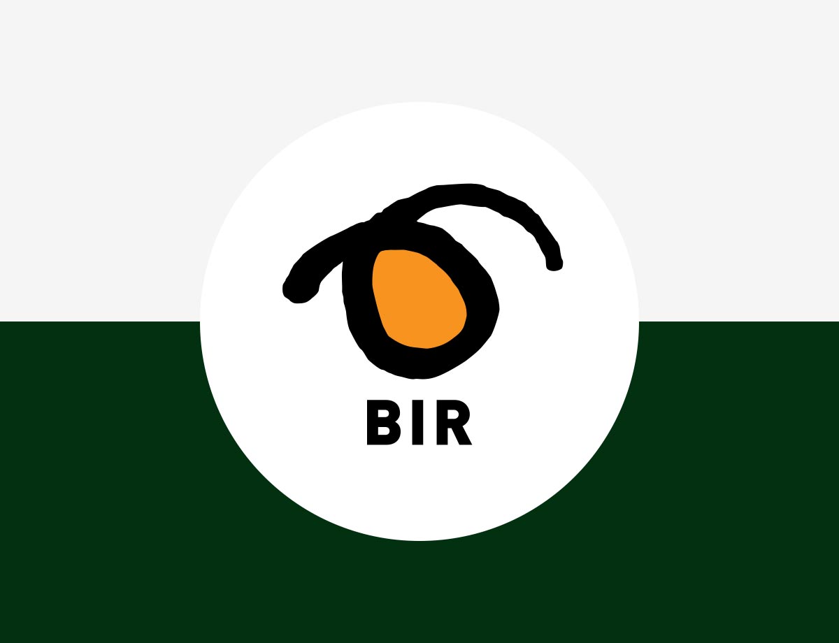 PI-partner-BIR
